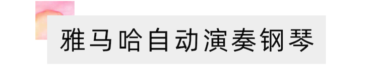 活动报道 | “科技助力，跨越时空”，小鹿纯子携手刘明康共享中日音乐盛宴